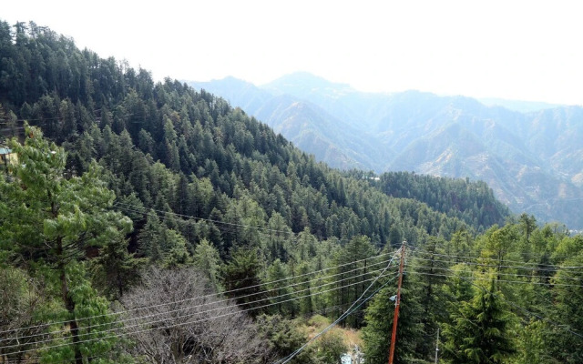 Star View by OYO Rooms