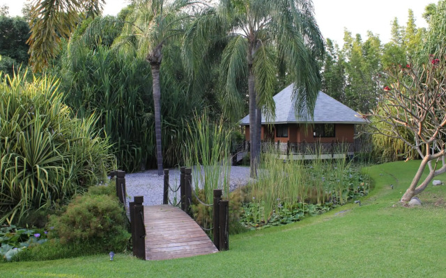 Soul Spring Sanctuary Cuernavaca