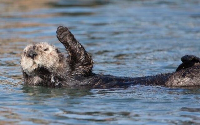 Front Street Inn and Spa