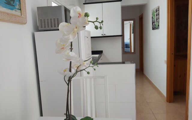 Flipper Top Suites