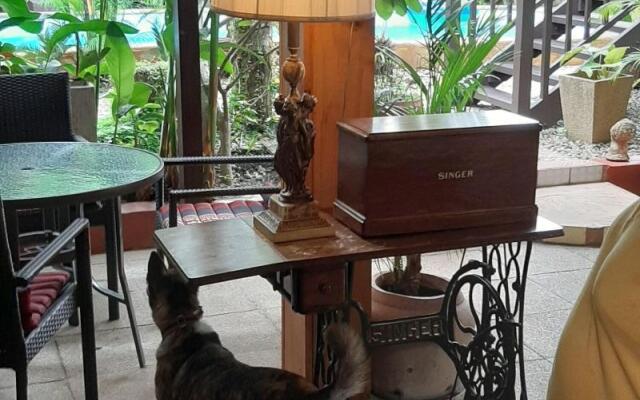 Guesthouse Liam's Suan Dok Mai