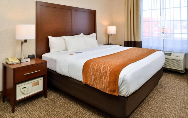 Comfort Inn & Suites Madison North