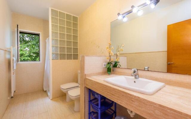 La Vinya del Beato 1950