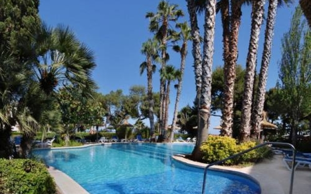 allsun App.-Hotel Orquidea Playa