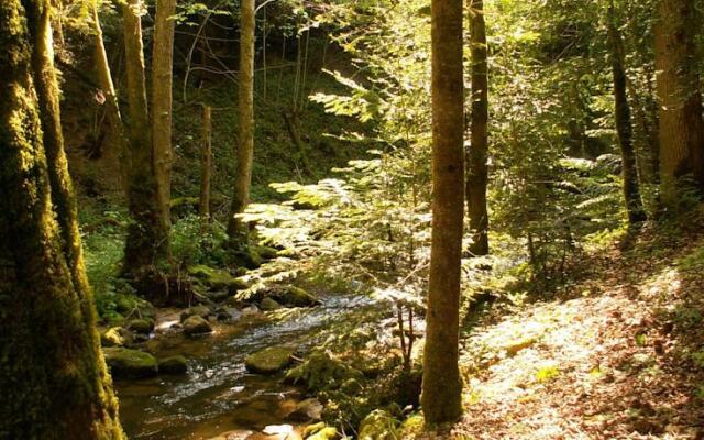 Les Charbonnières en Livradois