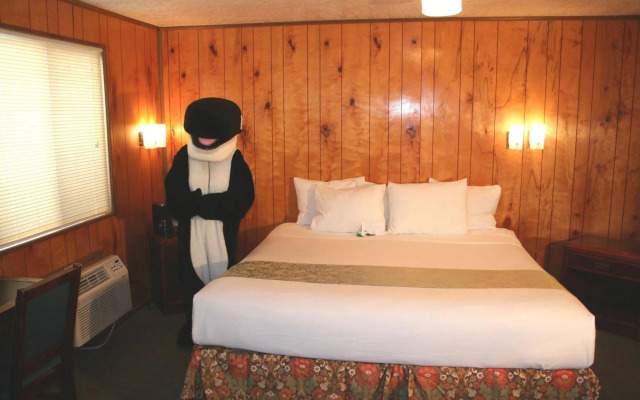 The Orca Inn