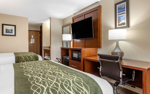 Comfort Inn & Suites Diamondale – Lansing