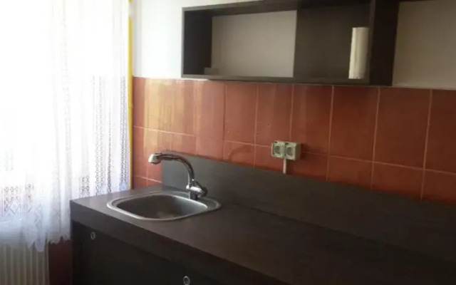 Unirii Plaza Apartment