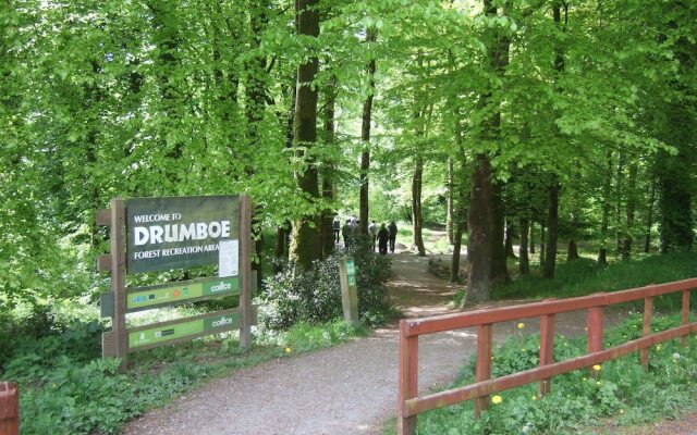 Villa Rose Hotel & Spa