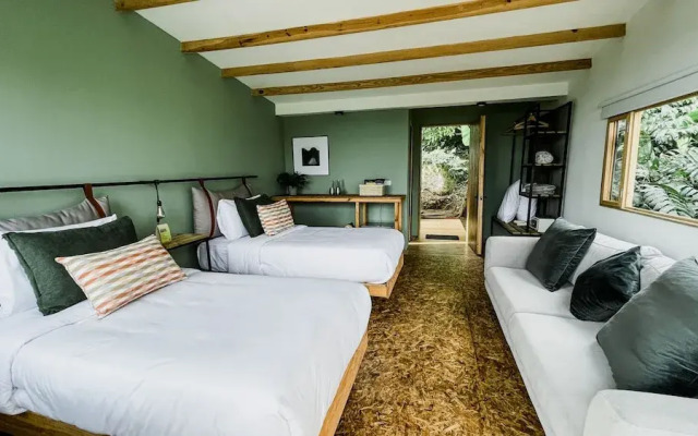 Hotel La Palma y El Tucan - Coffee & Nature