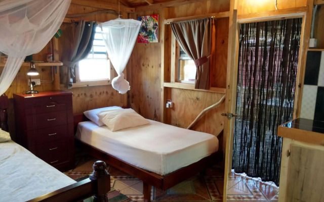 Mainroad Suite