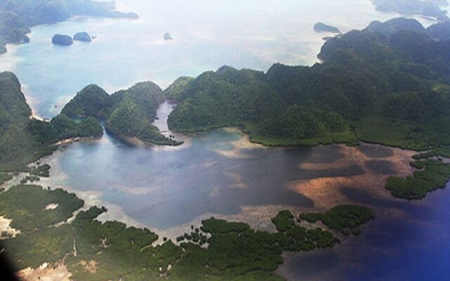 Tarzans Beach Resort