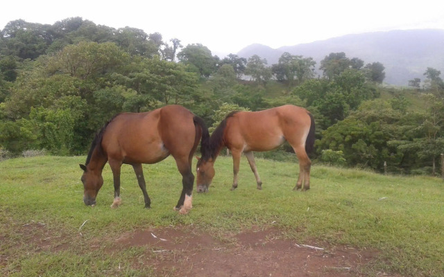 Rancho Juancho
