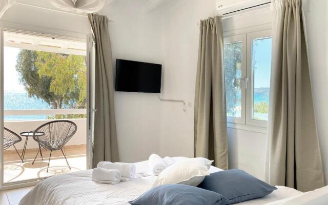 Palm Suite Blue