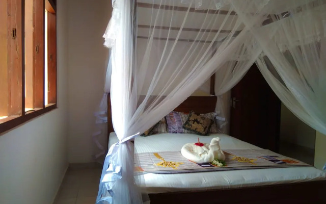 Galle Cemellia