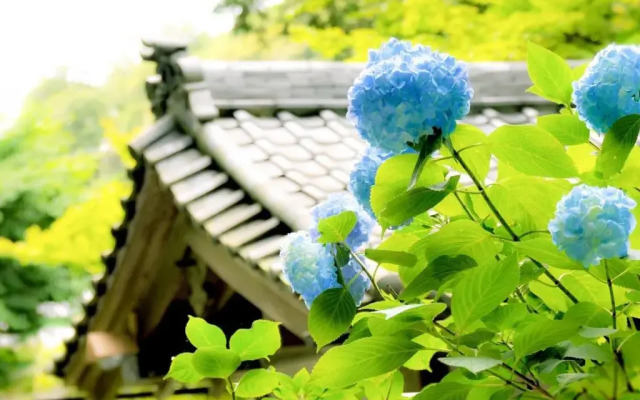 Kamakura Cocon