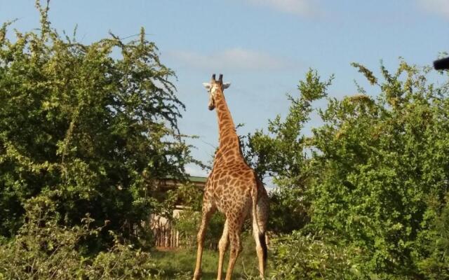 Muweti Bush Lodge