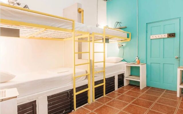 Sta Teresa Surf Camp by Selina Surf Club