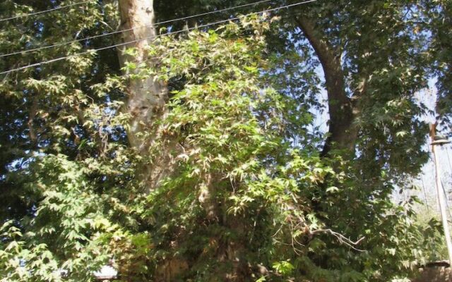 Отель и кемпинг Kitob Sayyoh