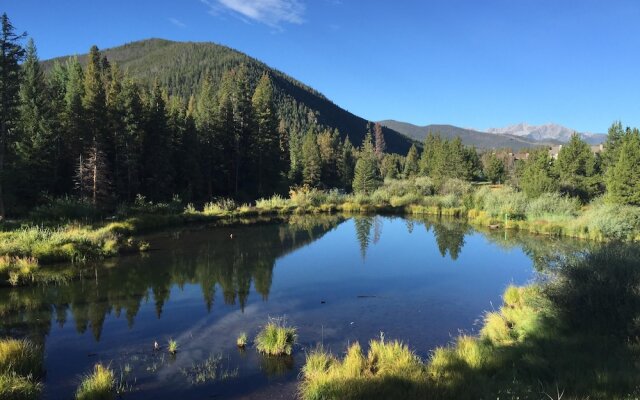 Wild Irishman 1064a by Summitcove Vacation Lodging