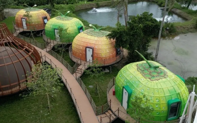 Unicorn Rocket Resort