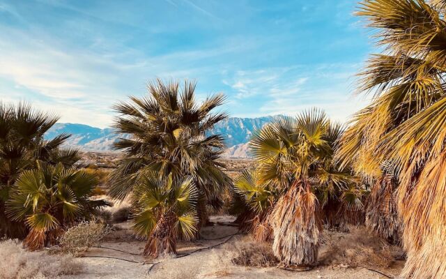 Bubbling Wells Oasis