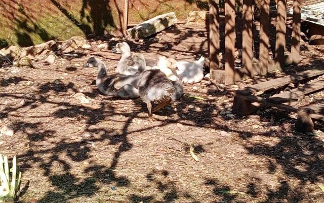 Azienda Agricola 25 Ponti