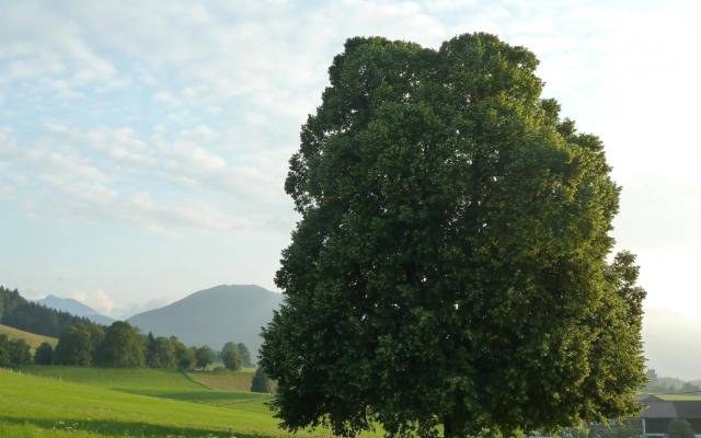 Ferienwohnung Panorama