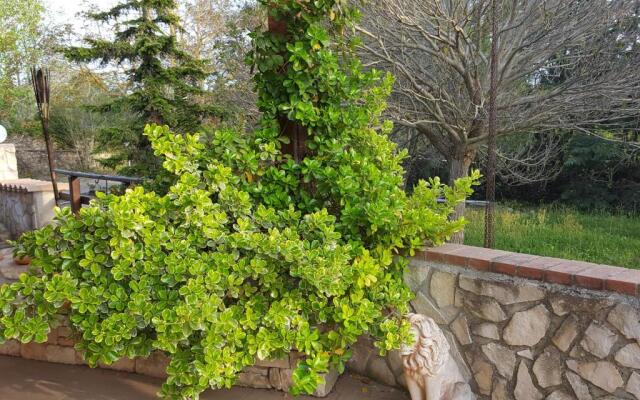 B&B Villa in Campagna Immersa nel verde