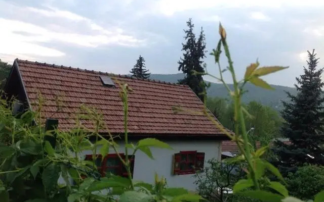 Mókus Ház