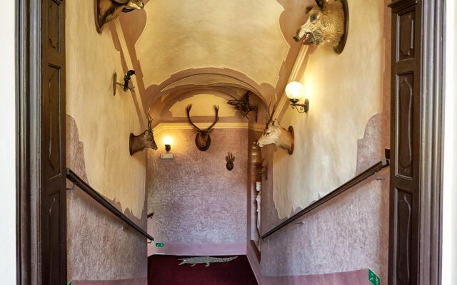 Chateau Hostacov