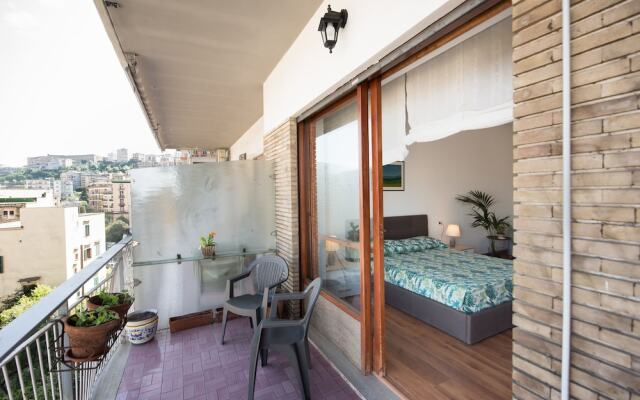 Panorama Vesuvius Central