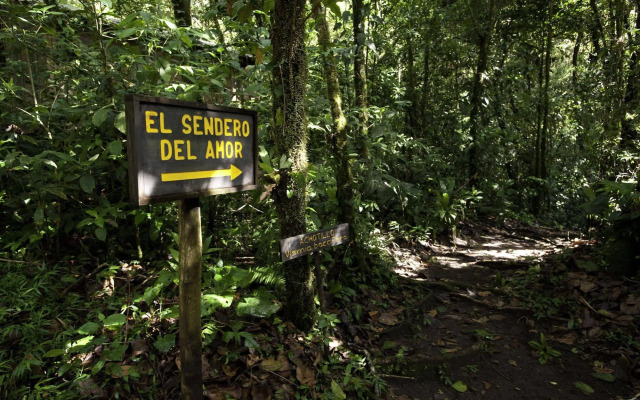 Wagelia Espino Blanco Lodge