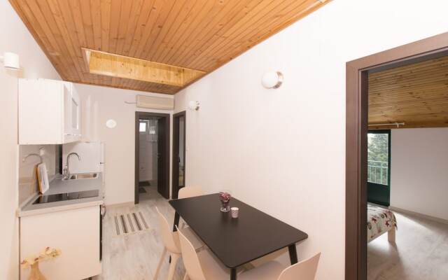 Apartments Branko