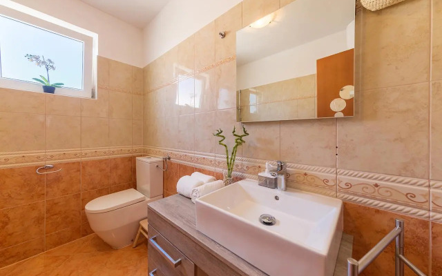 Apartment Vivis