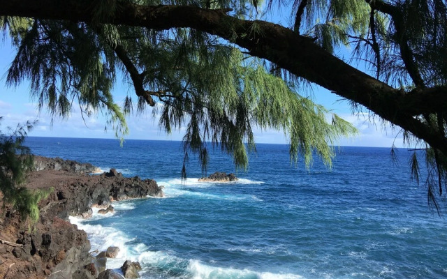 SweetSpotStay-Enchanted Grotto