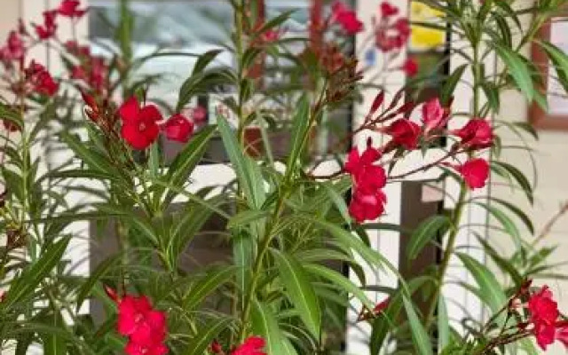 Fasthotel Saint-Amand-Montrond