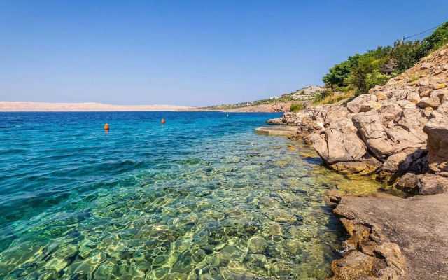 Delfin Cesarica in Cesarica