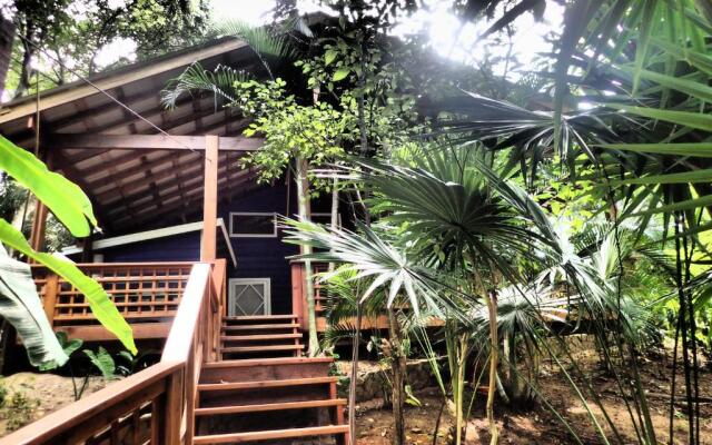 Blue Island Divers Casa Descanso