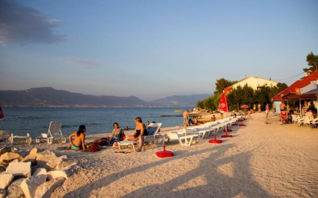 Apartments David - 20m from beach