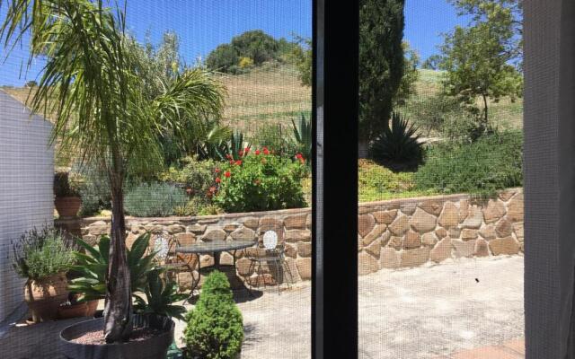 Finca Las Campanas II
