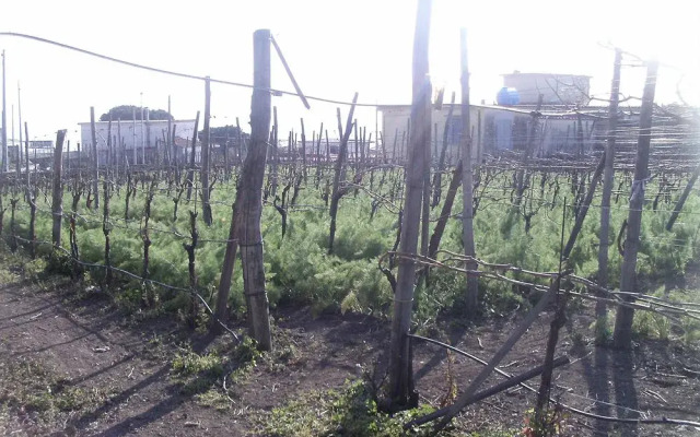 Bed & Breakfast Fuocomuorto