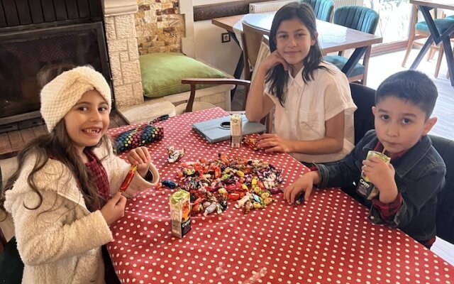 Abant Dort Mevsim Konagi