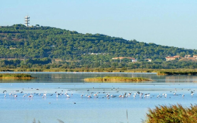 Peaceful Beachside Escape