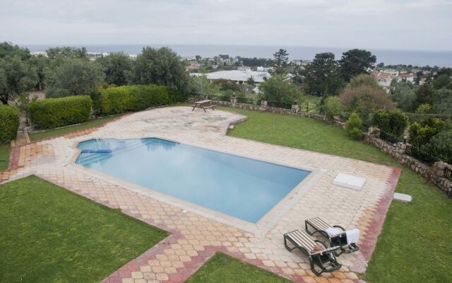 Villa Olivia by Amy Villas
