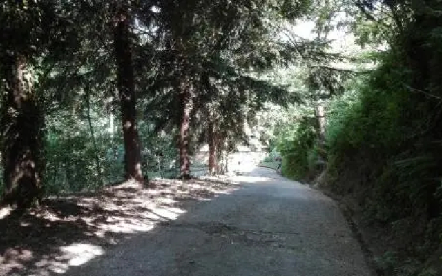 La Vecchia Mola