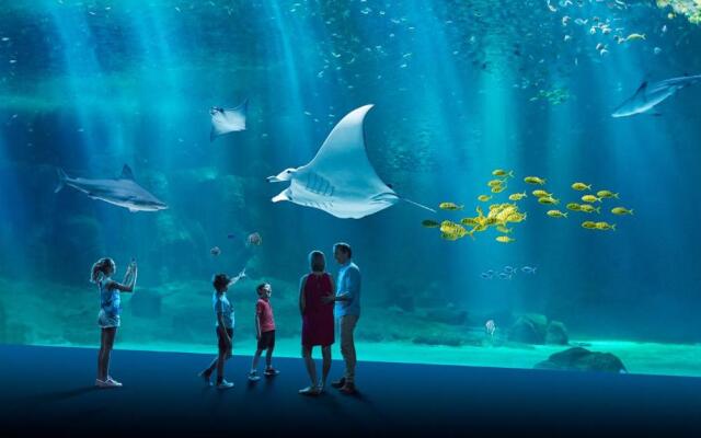 Studio à 50 m des remparts