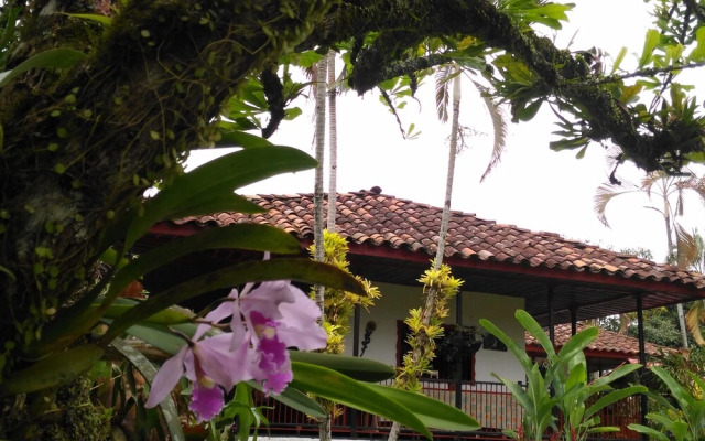 Finca Brisas del Ensueño, Armenia Quindio