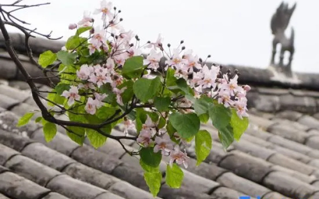 Lijiang Ruixi Xijianshu Yinluxury Fragrance Hotel – Outside – Lijiang