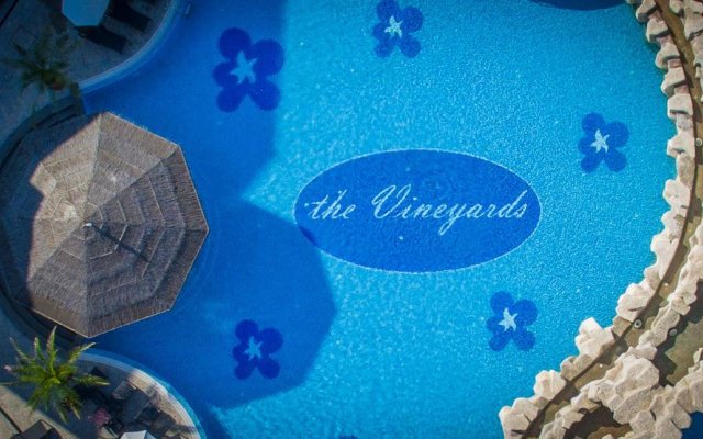 The Vineyards Spa Hotel